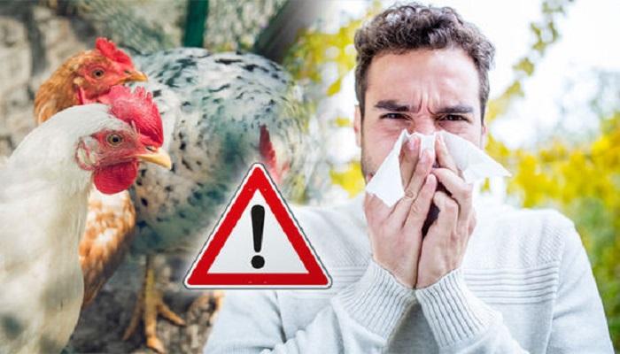 الصحة العالمية توضّح بخصوص تسجيل أول إصابة بشرية بانفلونزا الطيور