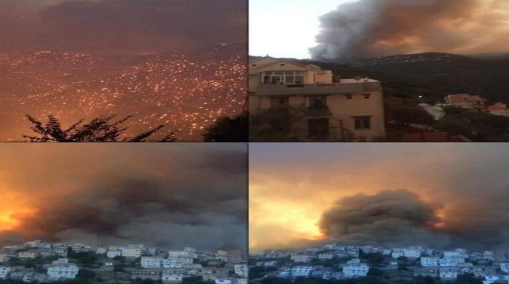 حرائق الغابات في الجزائر تودي بحياة 42 شخصا من بينهم 25 عسكريا