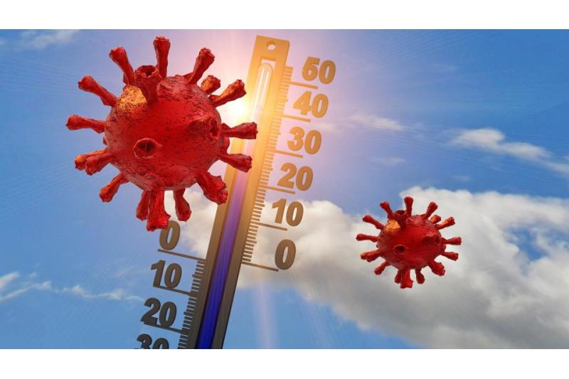 ما تأثير درجات الحرارة على السلالات الجديدة لفيروس كورونا؟